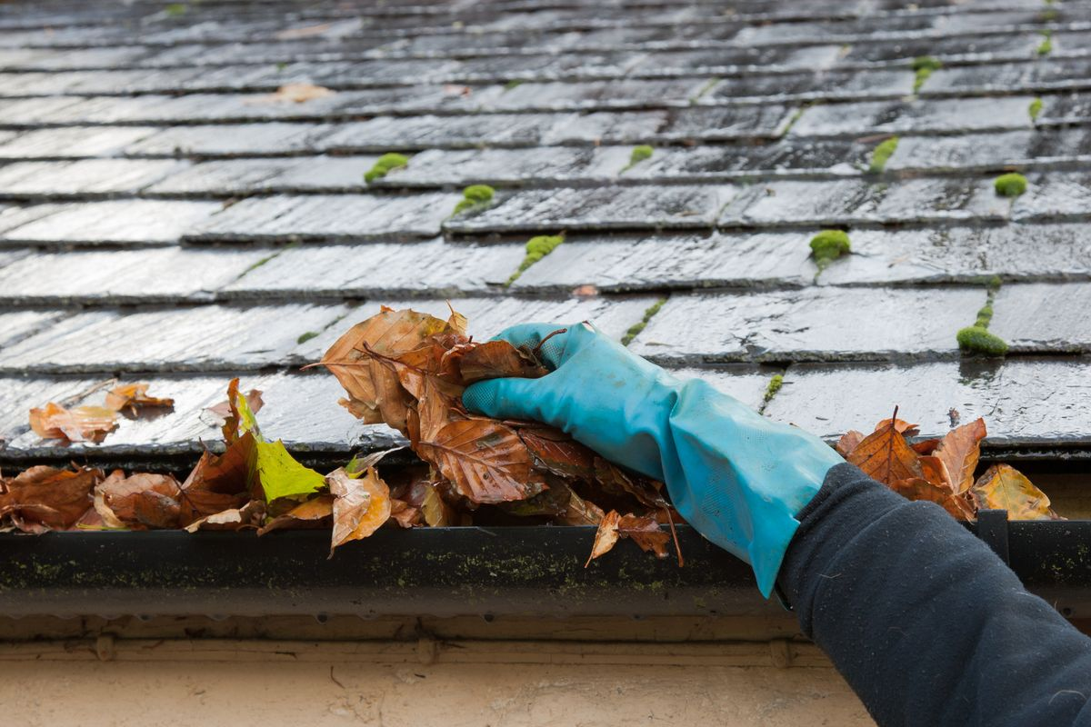 Gutter cleaning autumn